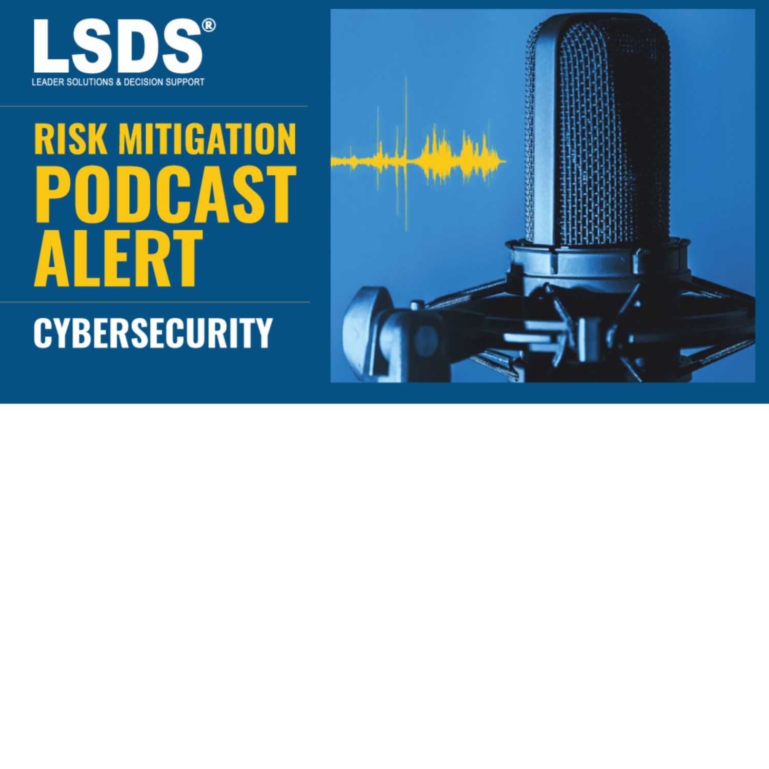  The Risk Mitigation Podcast: How To Do A Cybersecurity Audit