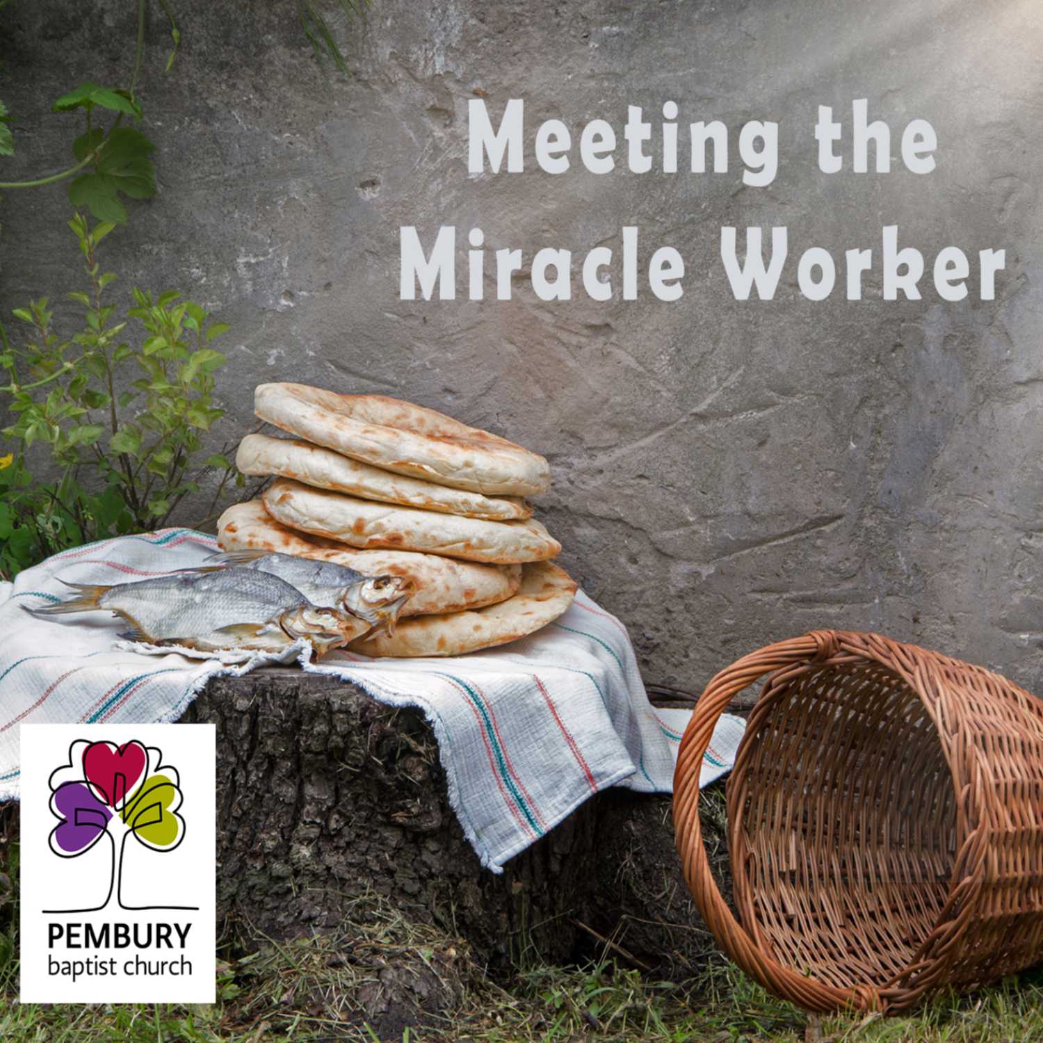 Meeting the Miracle Worker - Come: Tom How 13/08/23