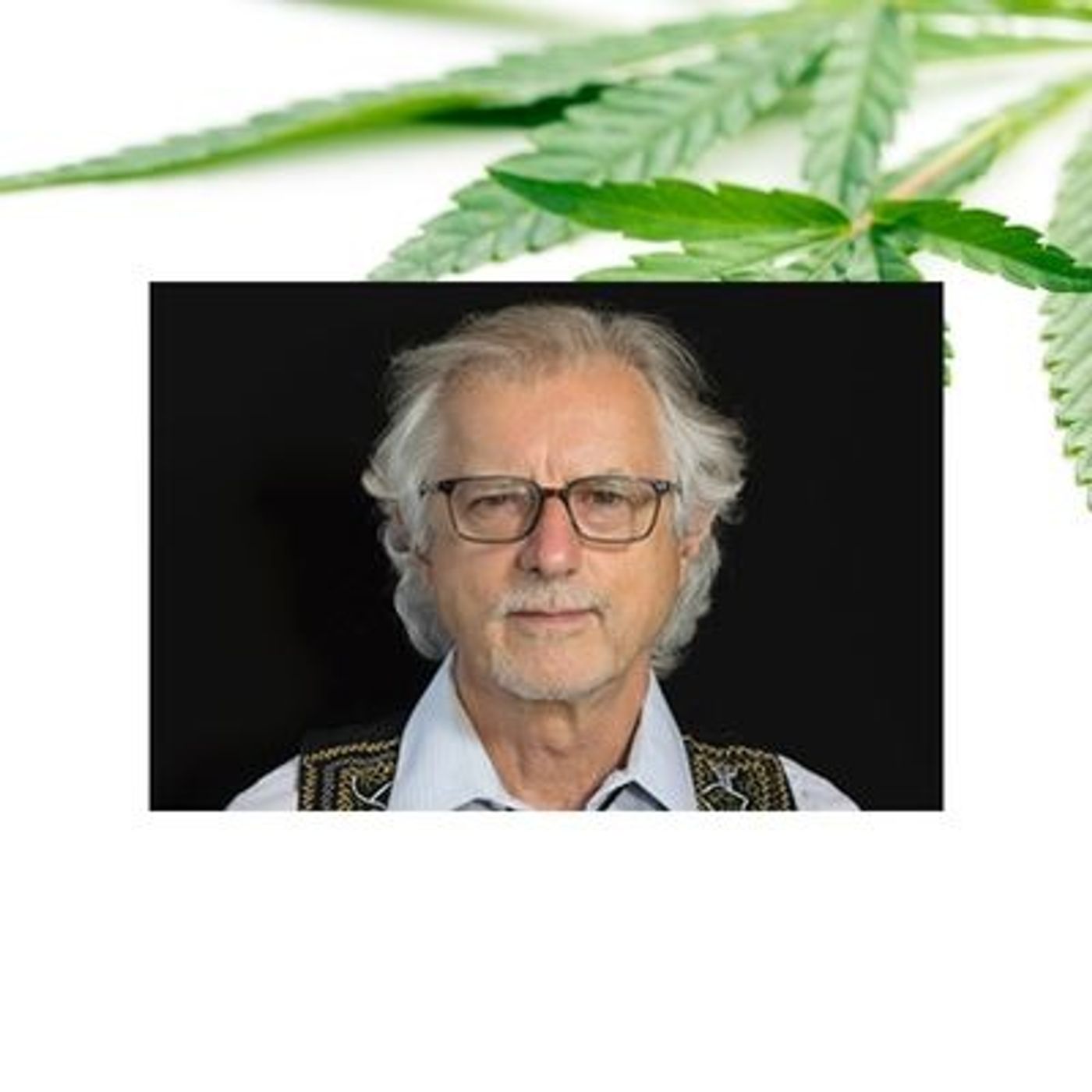 Stephen Gray - Having a New Perspective Using Cannabis, Pyschedelics, and Meditation