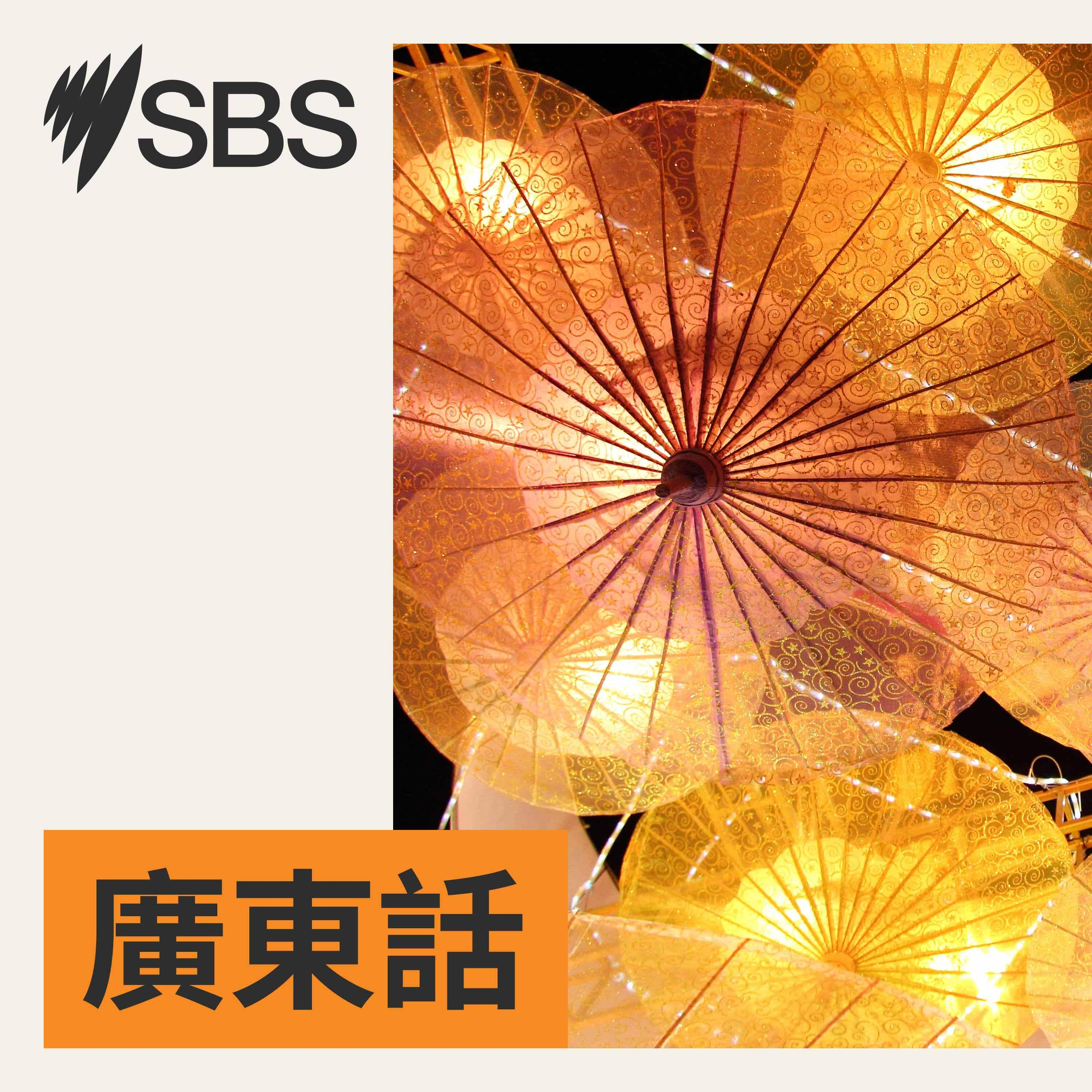 SBS 新聞簡報（8月4日）