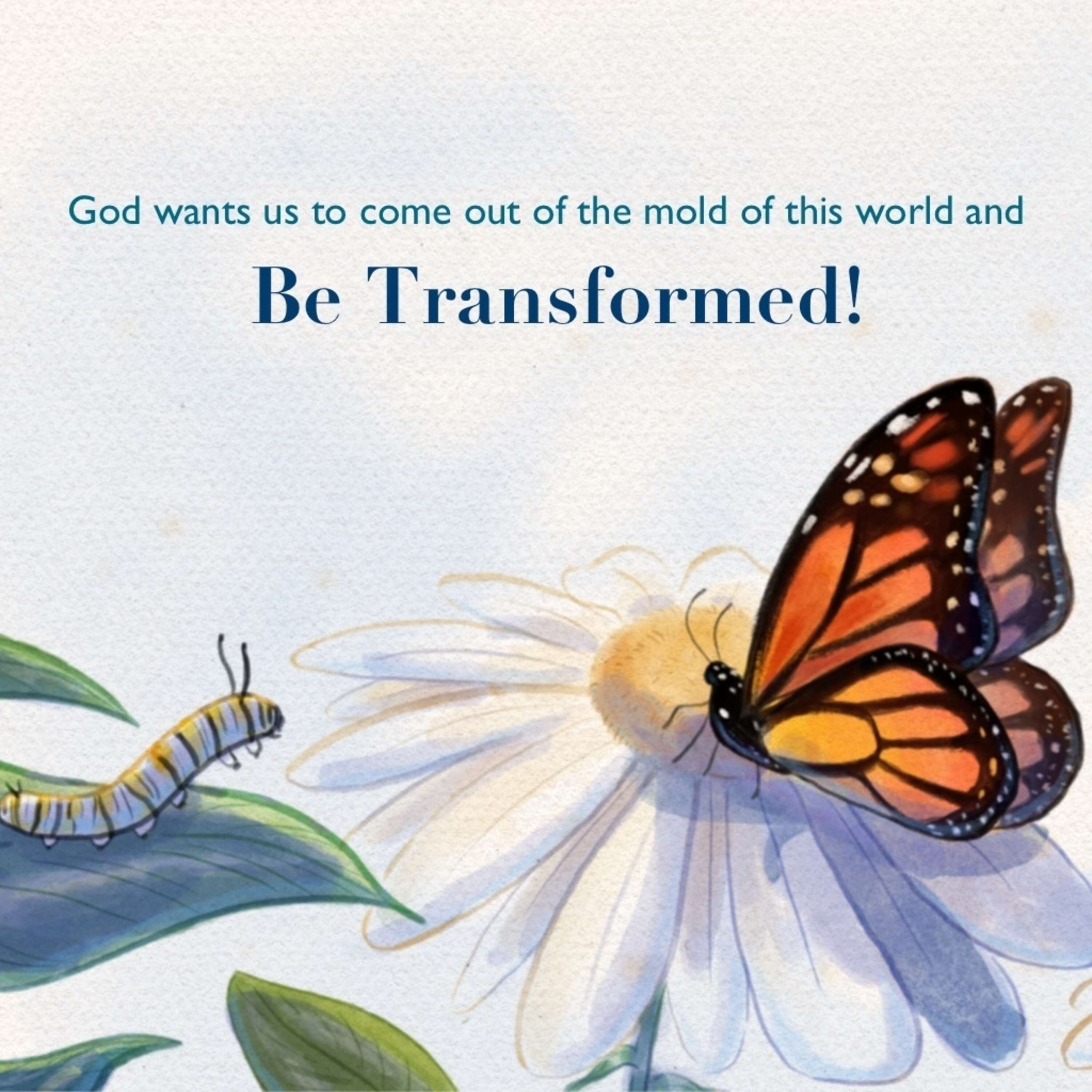 Be Transformed!