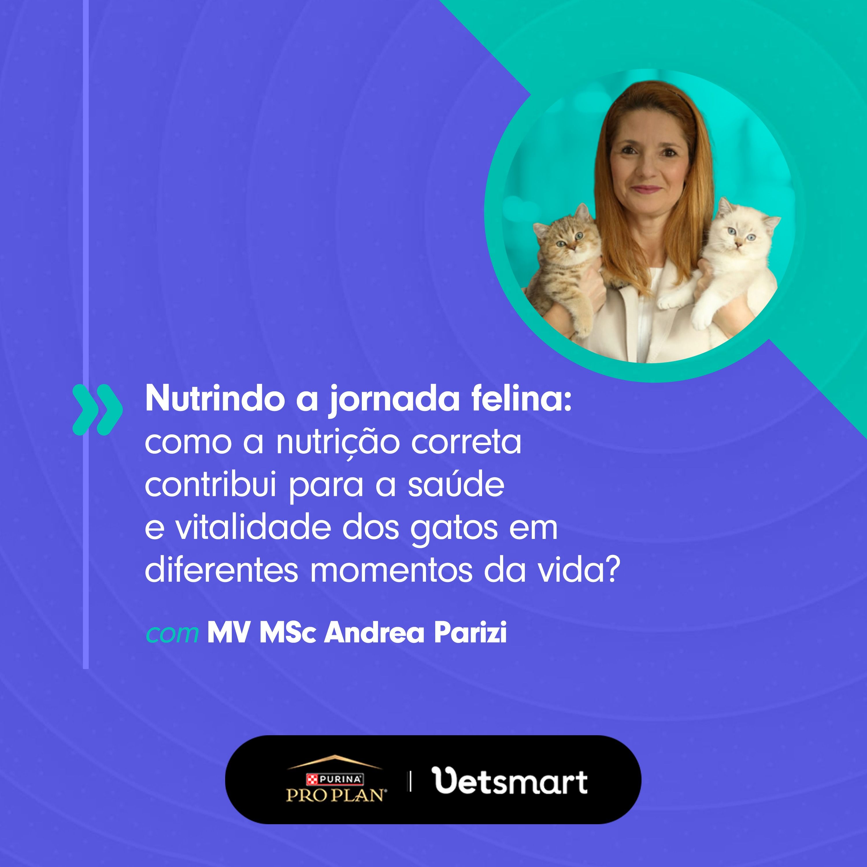 ⁣Nutrindo a jornada felina: Como a nutrição correta contribui para a saúde e vitalidade dos gatos em diferentes momentos da vida?