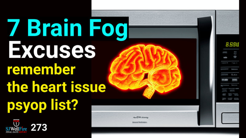 7 Brain Fog Excuses.  What could be the REAL Cause?  FDR: 273