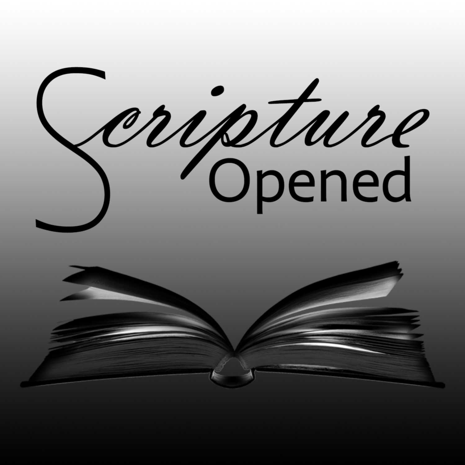 Scripture Opened 8/20