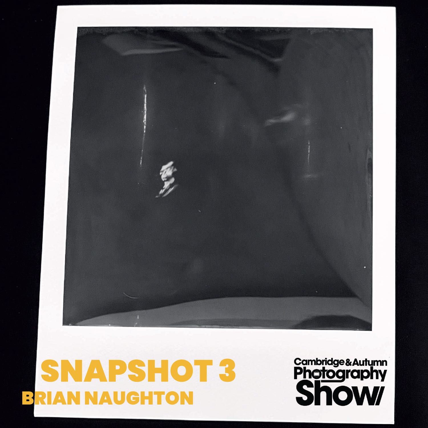 Snapshot 3 - Brian Naughton - Ai Photography