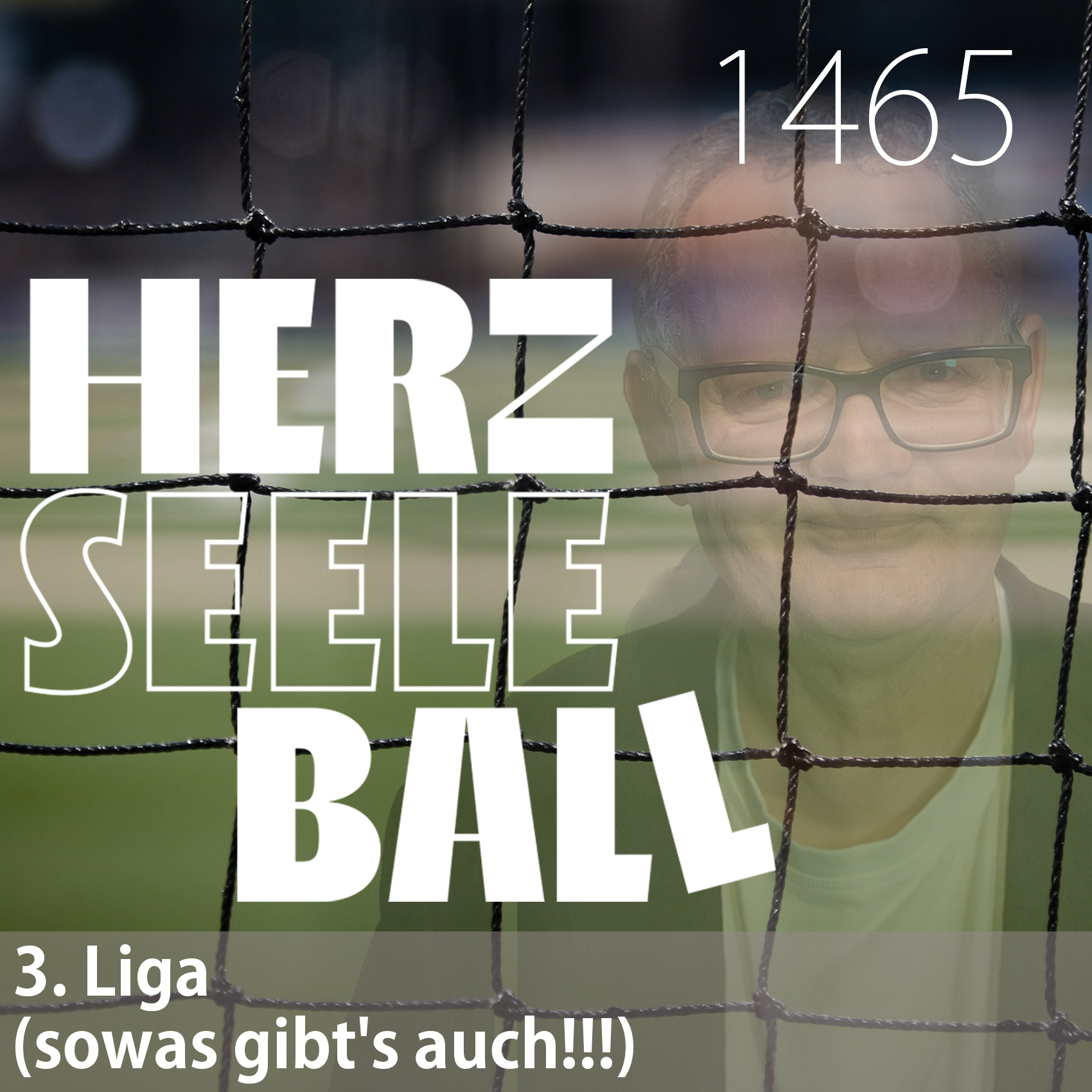 Herz • Seele • Ball • Folge 1465