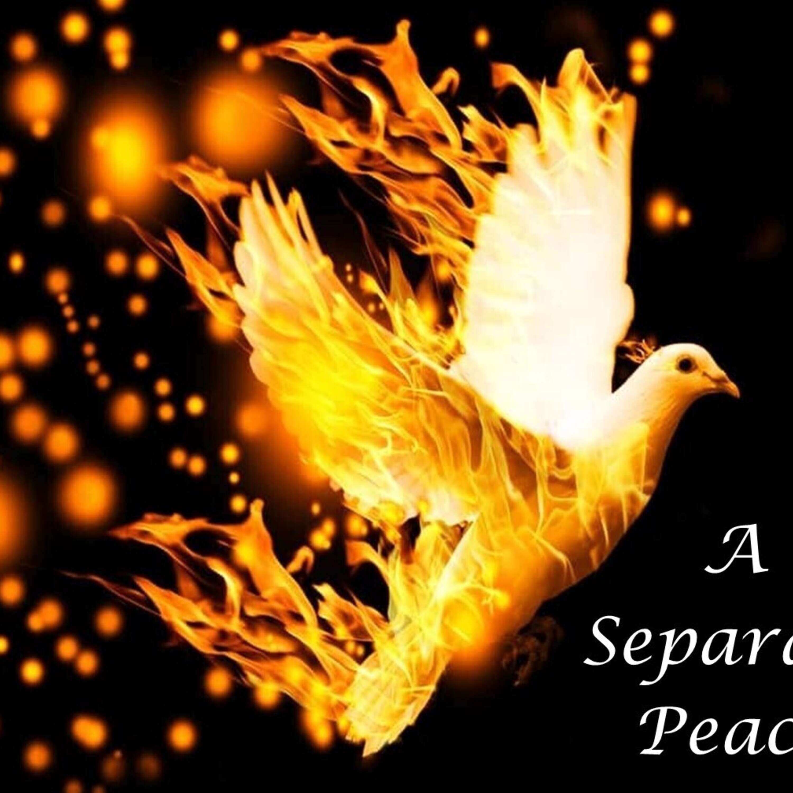 Sunday, August 6, 2023 - Traditional 1: "A Separate Peace"