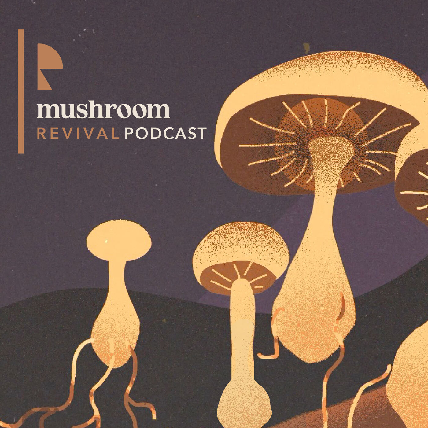 Mushroom Revival Podcast 