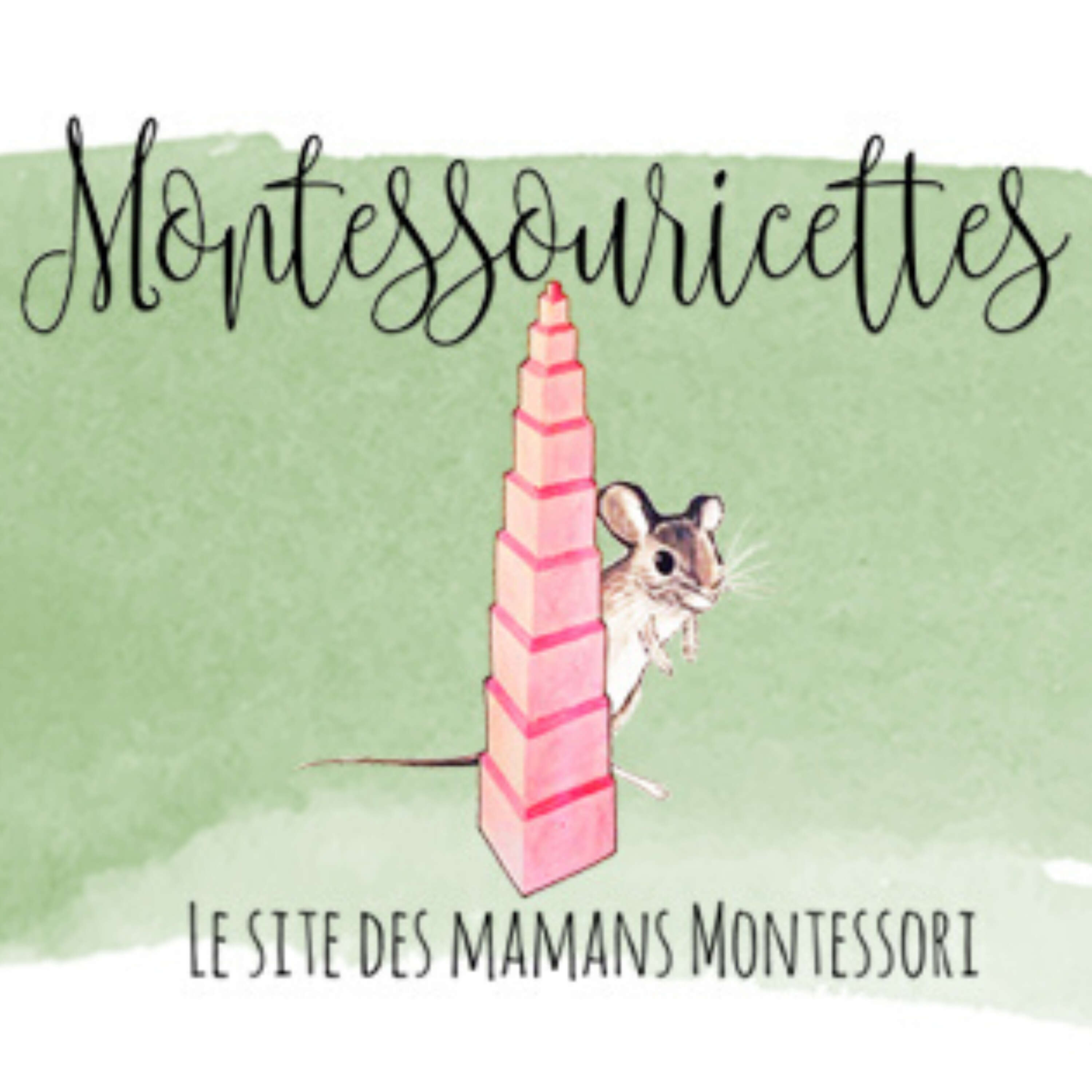 Montessori à la maison avec les Montessouricettes 