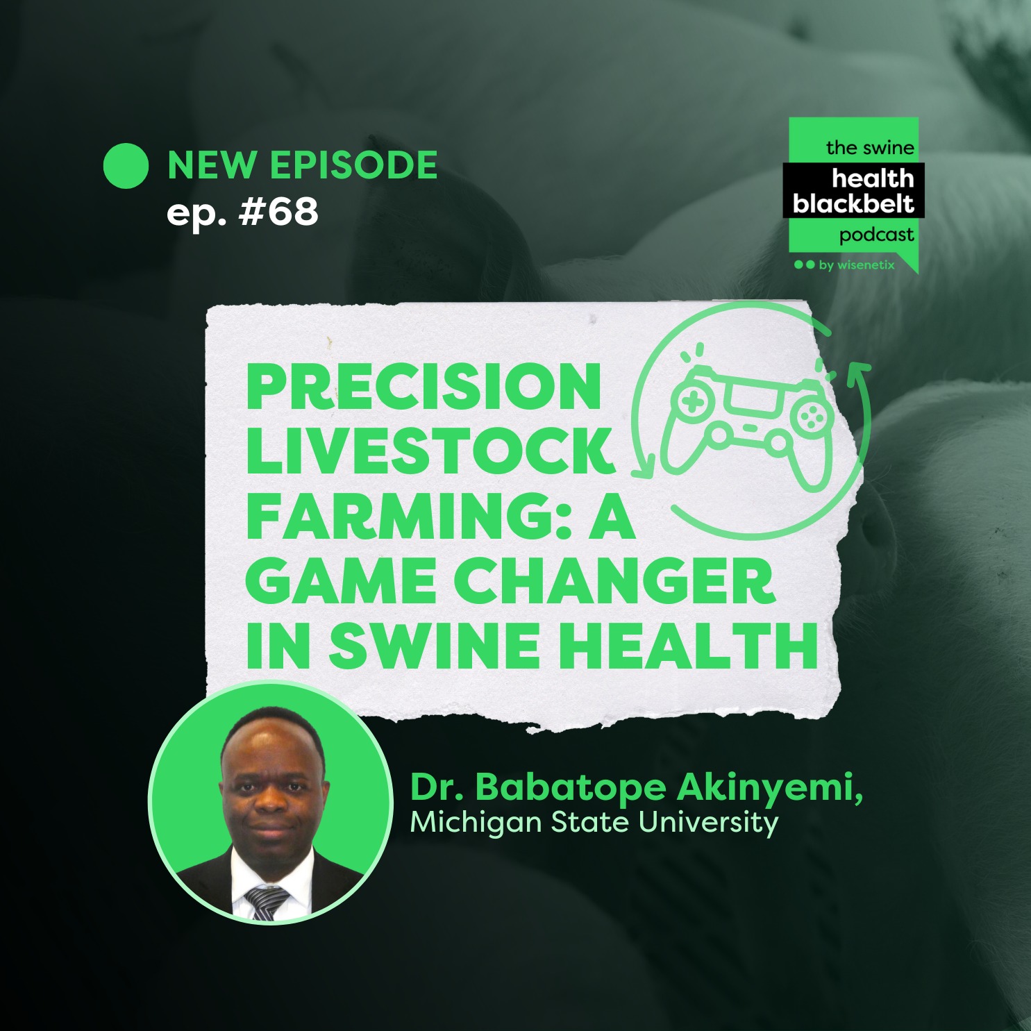 #68 - Precision Livestock Farming: A Game Changer in Swine Health - Dr. Babatope Akinyemi