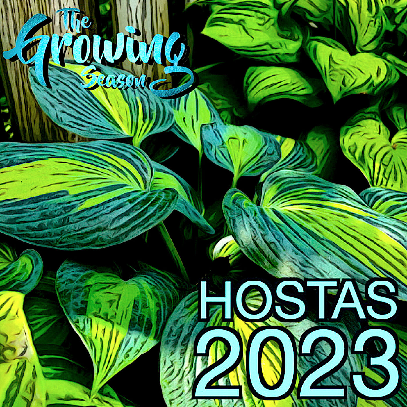 The Growing Season, Aug 5, 2023 - Hosta 2023