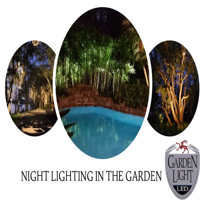 Better Lawns and Gardens - Hour 2 Michelle Mueller Outdoor Lighting For Gardens August 5th 2023