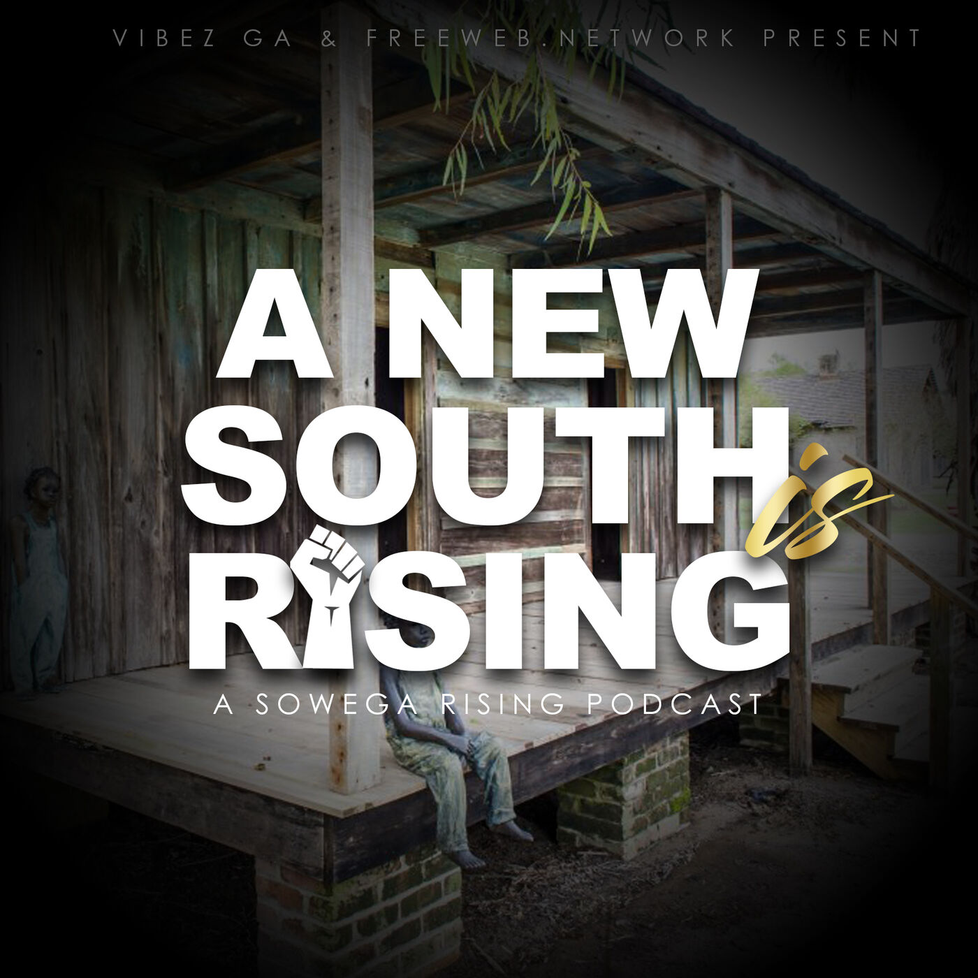 ⁣A New South is Rising - ep.7 (The Uncommon Faces of Domestic Violence)