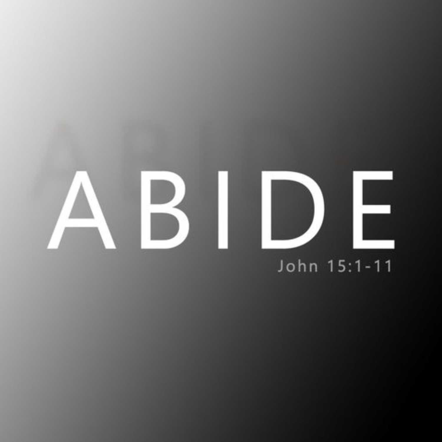 ⁣Abide 8/13