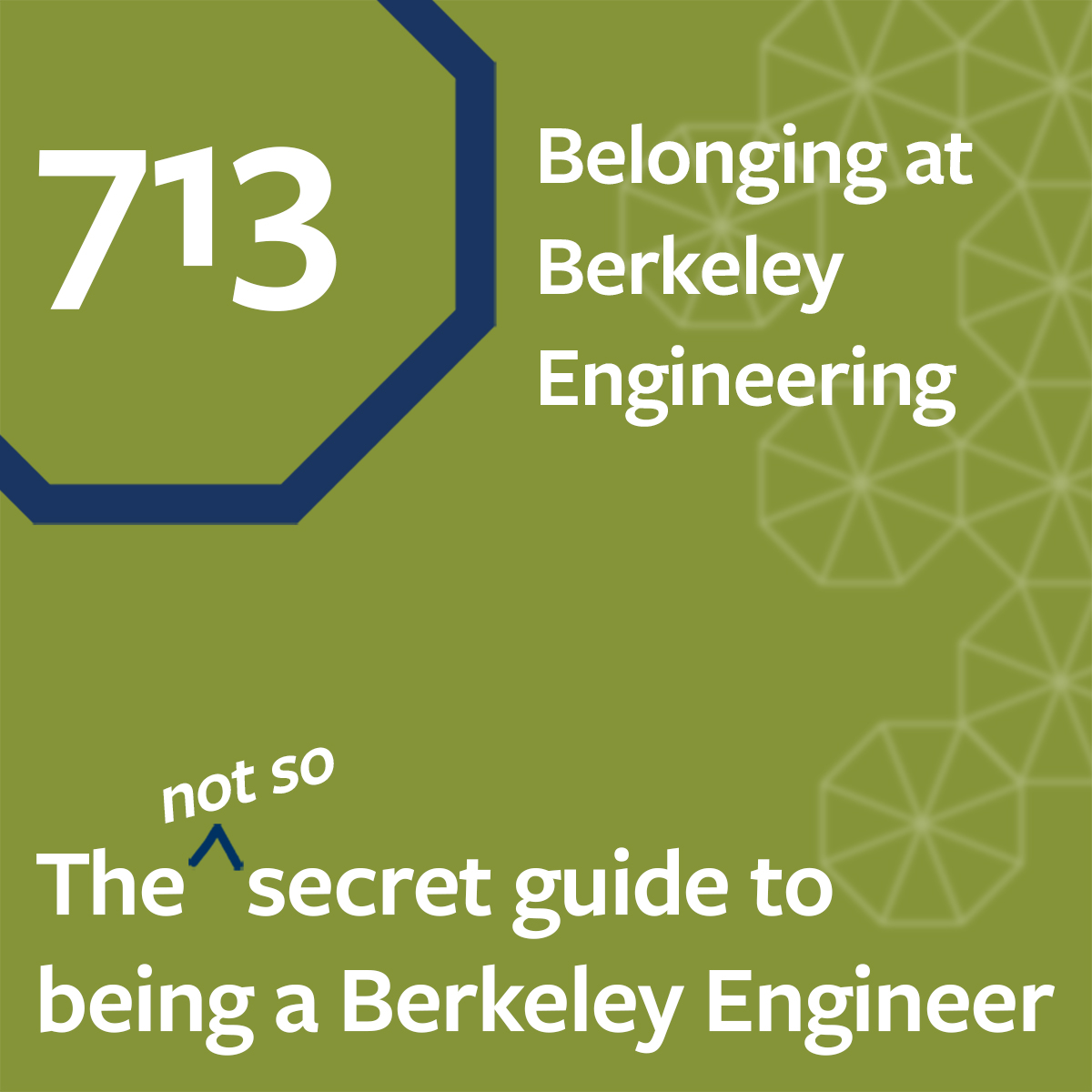 ESS 713: Belonging at Berkeley Engineering