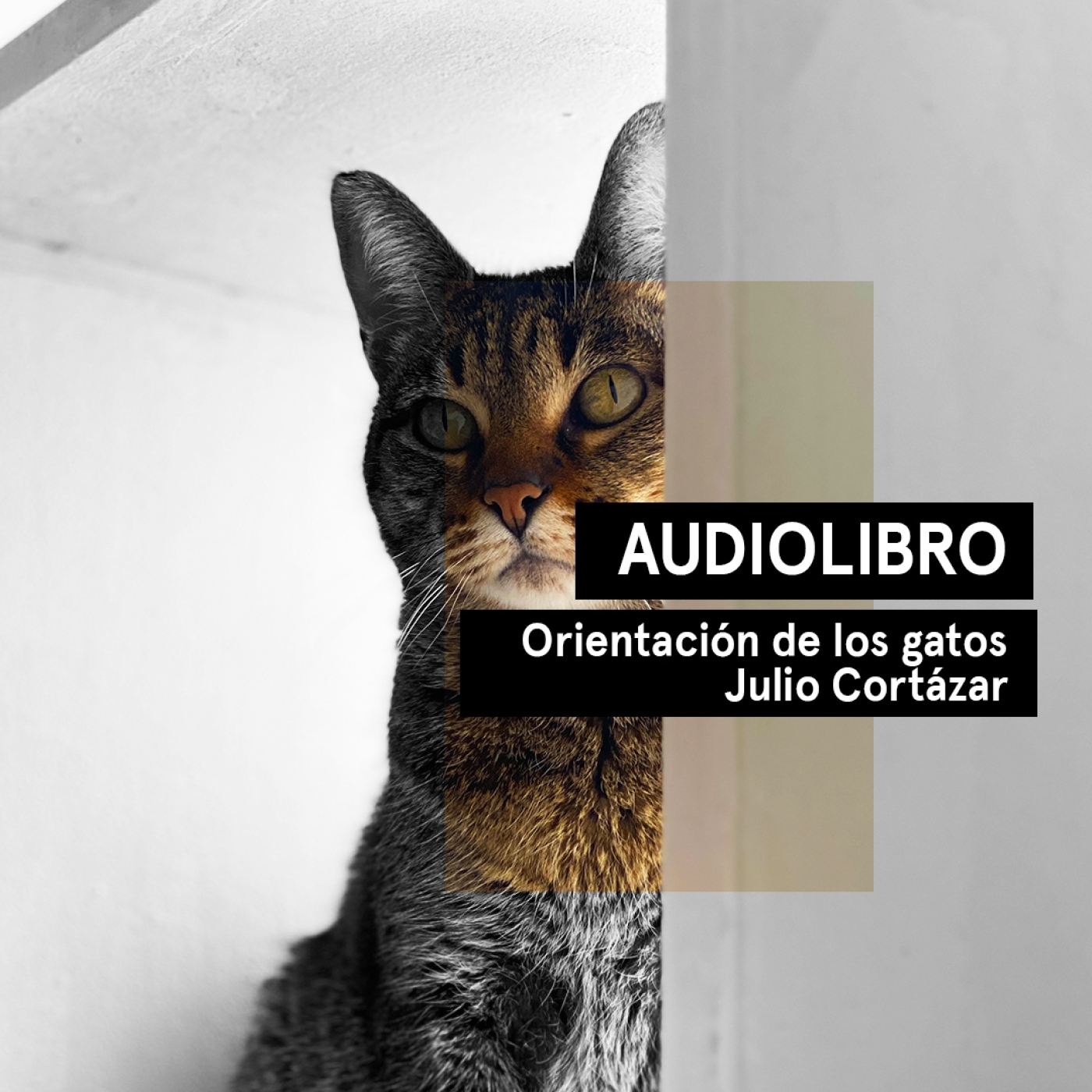 Orientación de los gatos - Julio Cortázar | Audiolibros