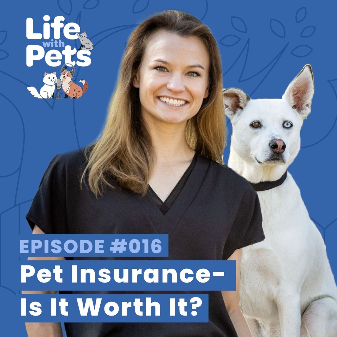 Pet Insurance – Is It Worth It?