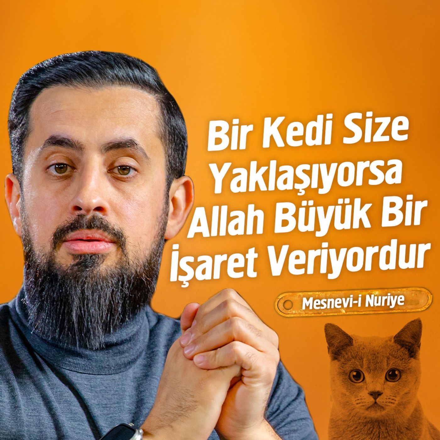 Bir Kedi Size Yaklaşıyorsa Allah Büyük Bir İşaret Veriyordur - Kelb | Mehmet Yıldız