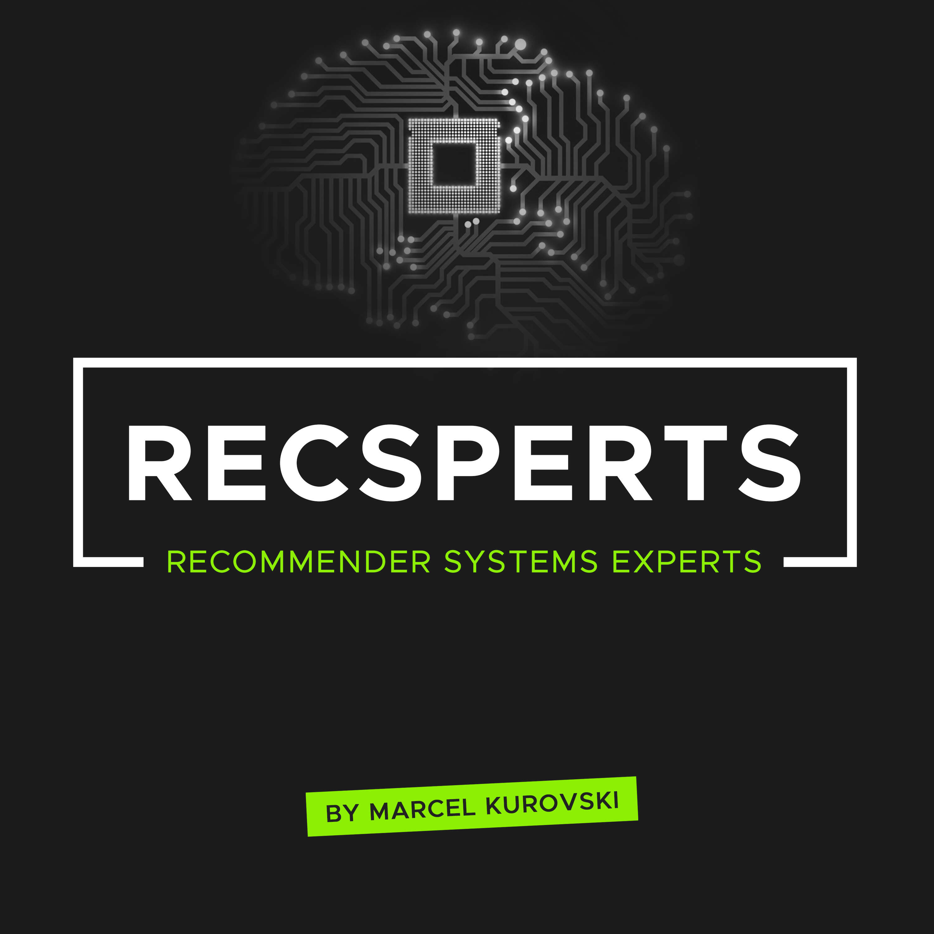 Recsperts - Recommender Systems Experts 