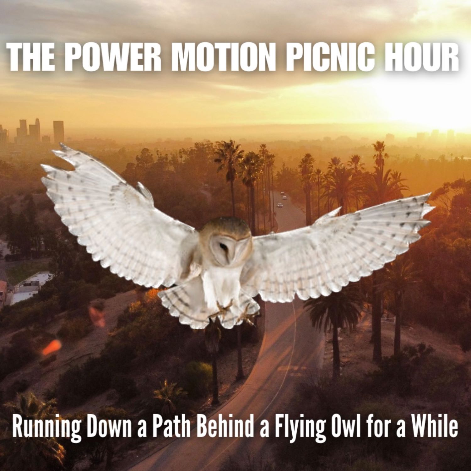 Ep. 2.6: Running Down a Path Behind a Flying Owl for a While