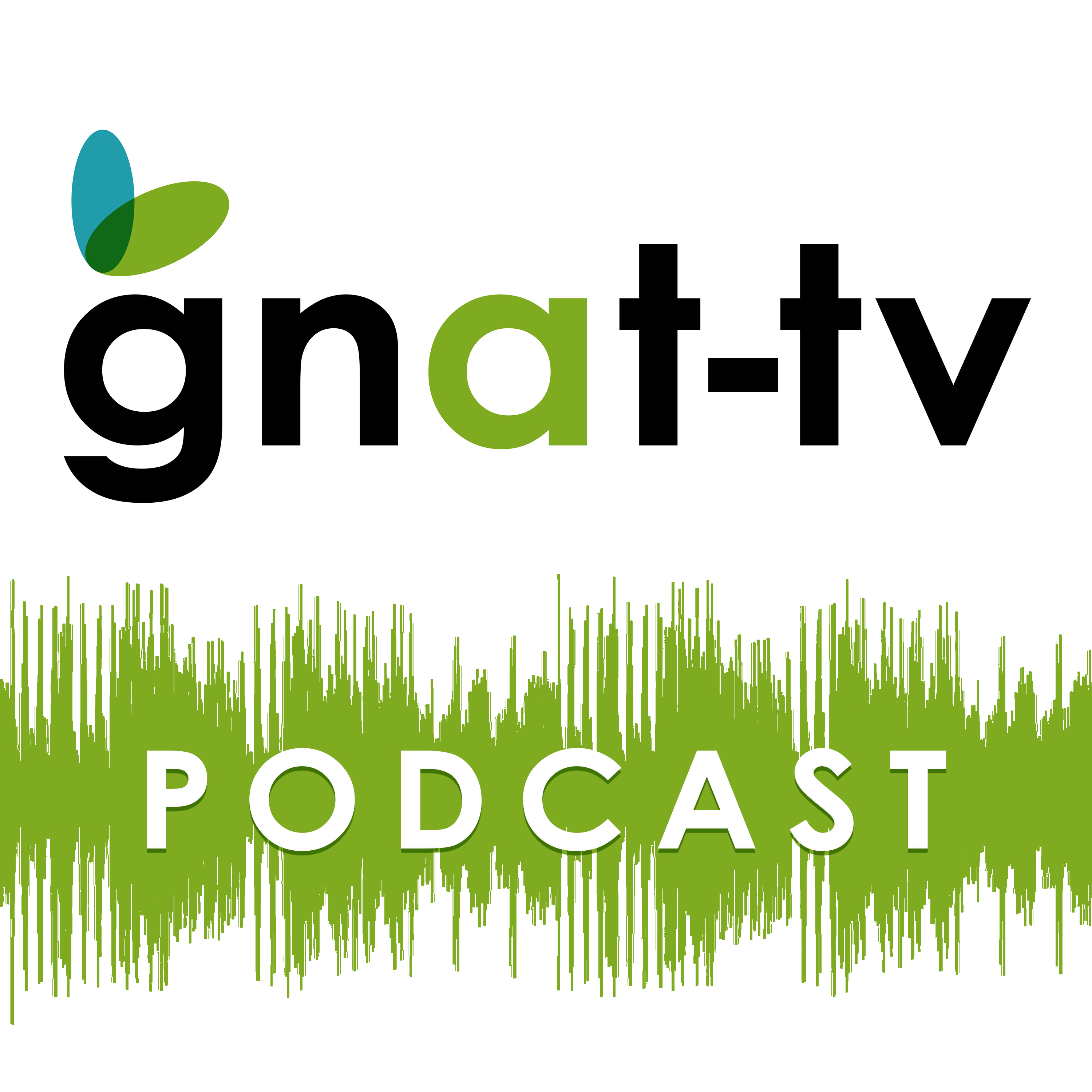 GNAT-TV 