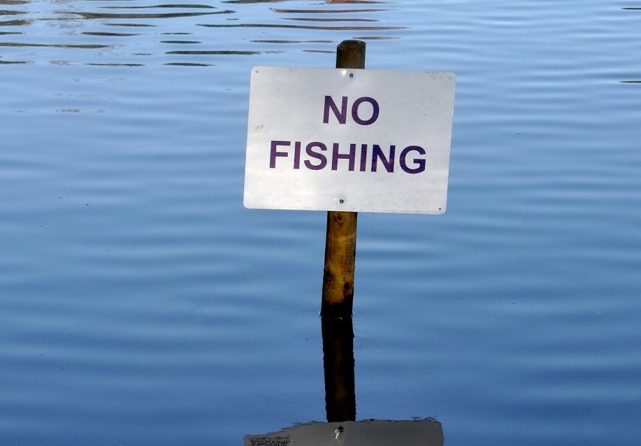 ⁣John MacKenzie chats with Cr. Cathy Zeiger, CRC Representative for Division 3, about dog management in the CBD and a proposed fishing ban for Cairns Esplanade.