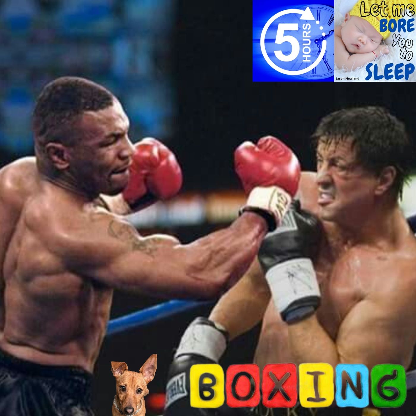 (5 hours) #1036 Boxing - Let me bore you to sleep