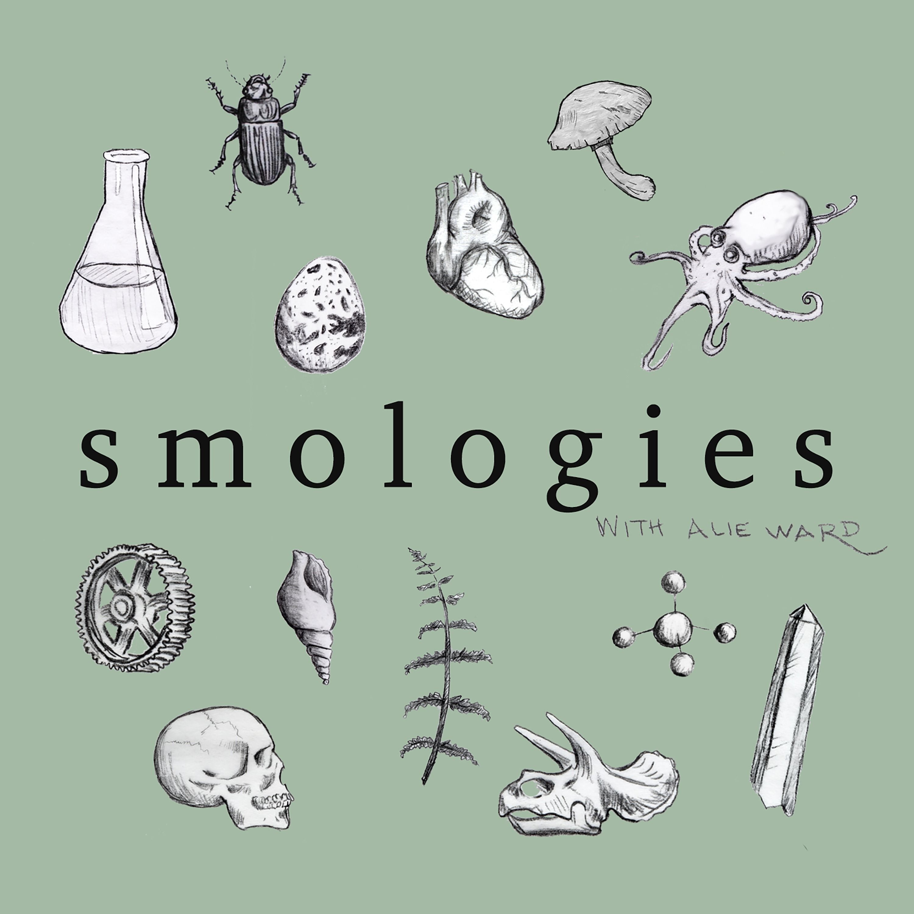 Smologies #26: POOP with Rachel Santymire