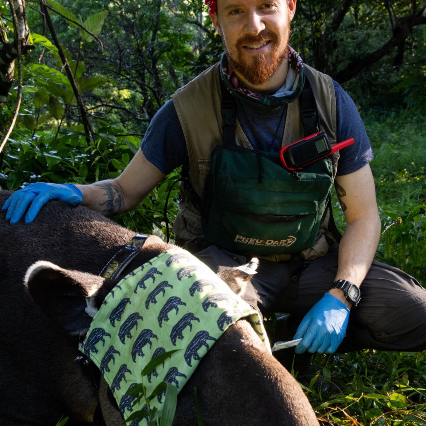 #18 Jorge and the tapirs