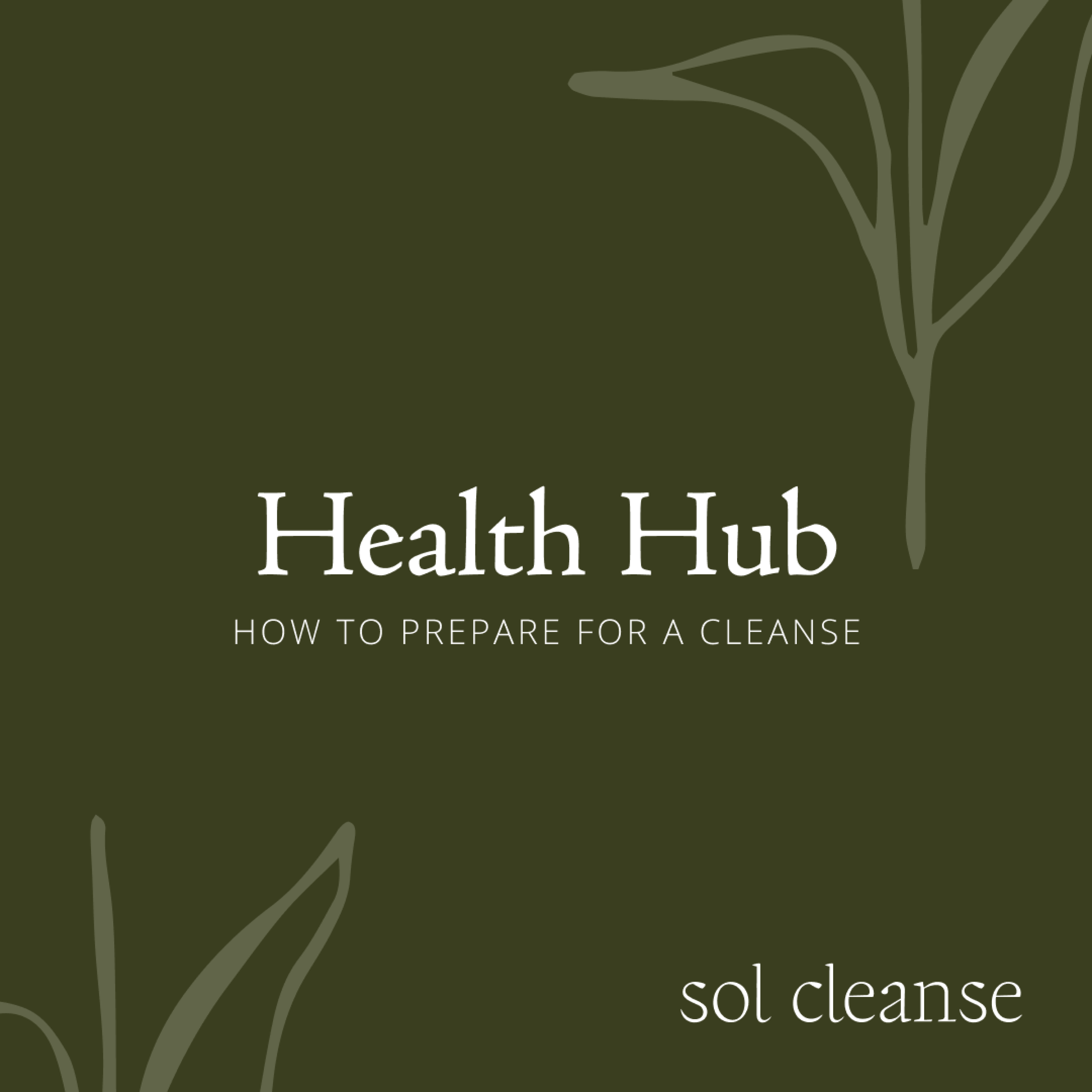 ⁣Health Hub: How to prepare for a cleanse