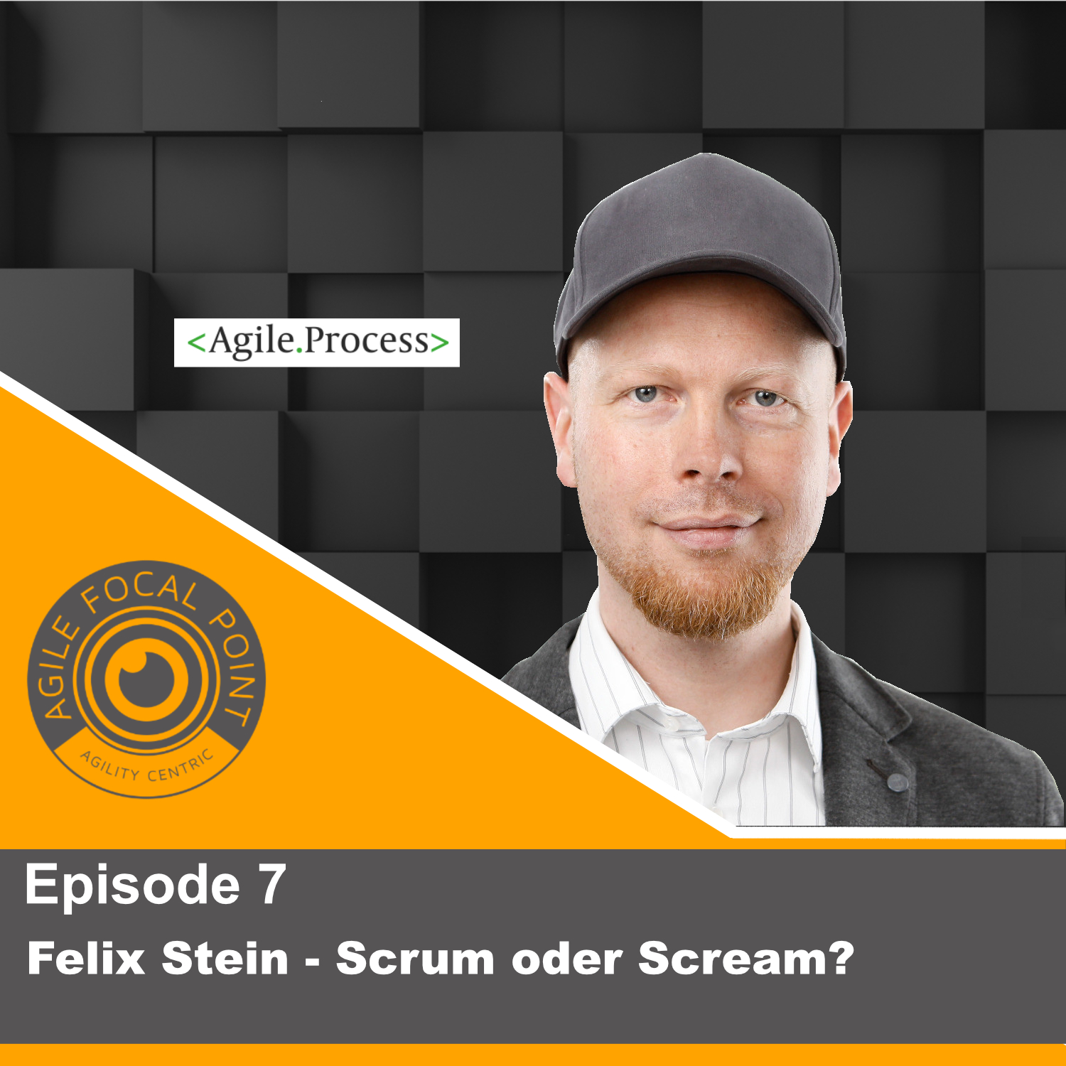 Episode #7: Felix Stein - Scrum oder Scream?