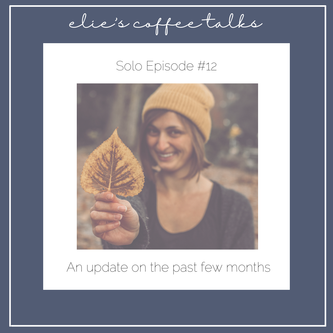 #12 Solo Episode: an update on the past few months