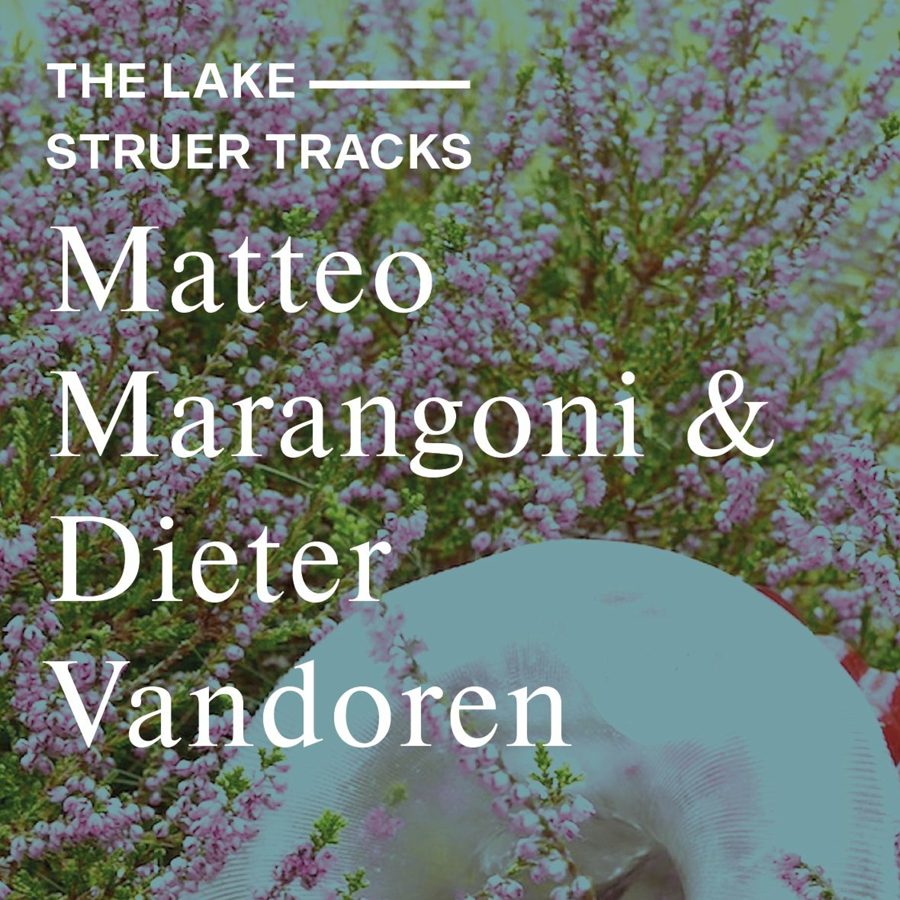 The Lake ⏤ Struer Tracks: Matteo Marangoni and Dieter Vandoren on their installation 'Komorebi'