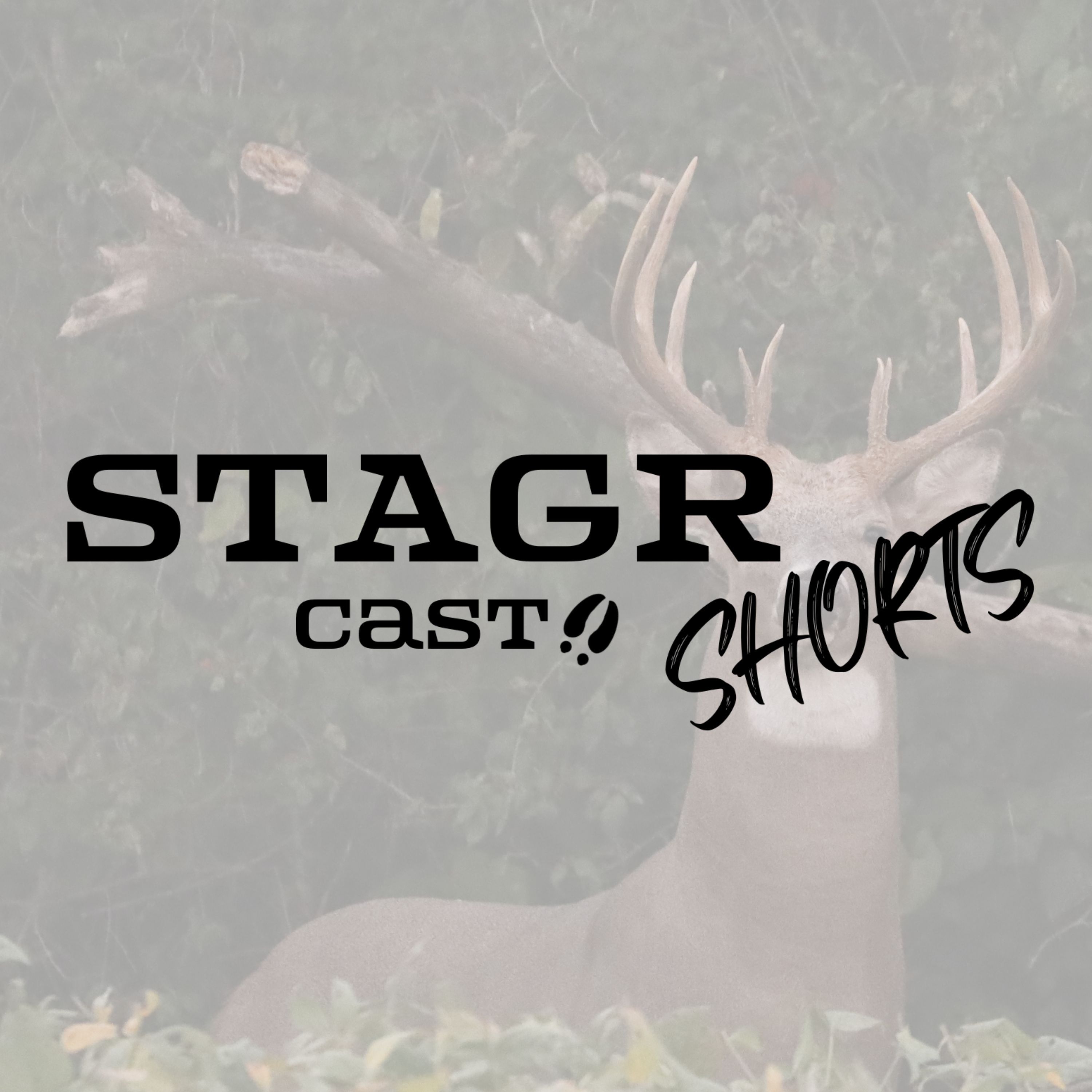 STAGR Cast Shorts: Headed To Huntstock