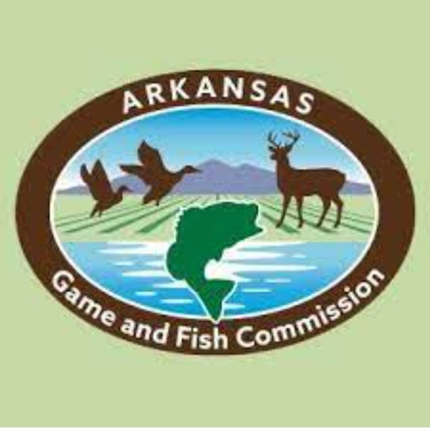 S&F What’s happening in Arkansas - PBA’s, DMAP and the new Burn Bill