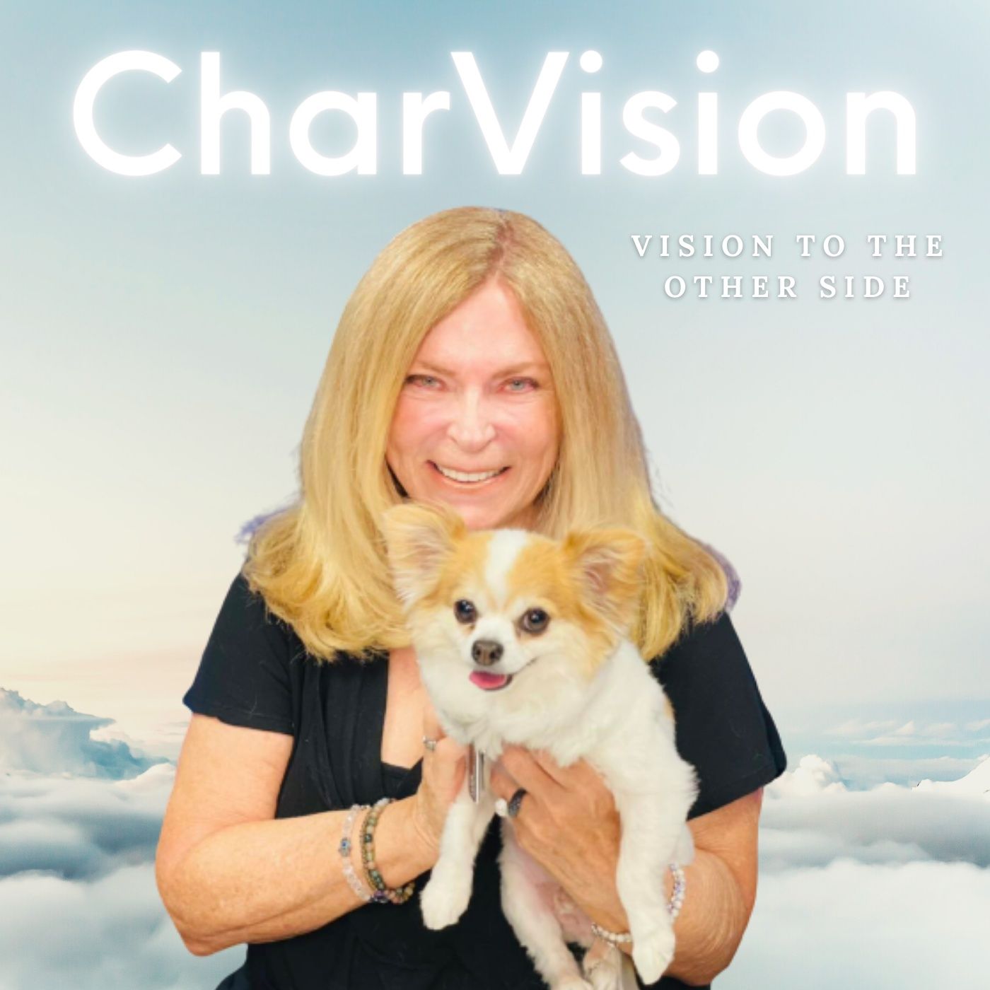 CharVision 