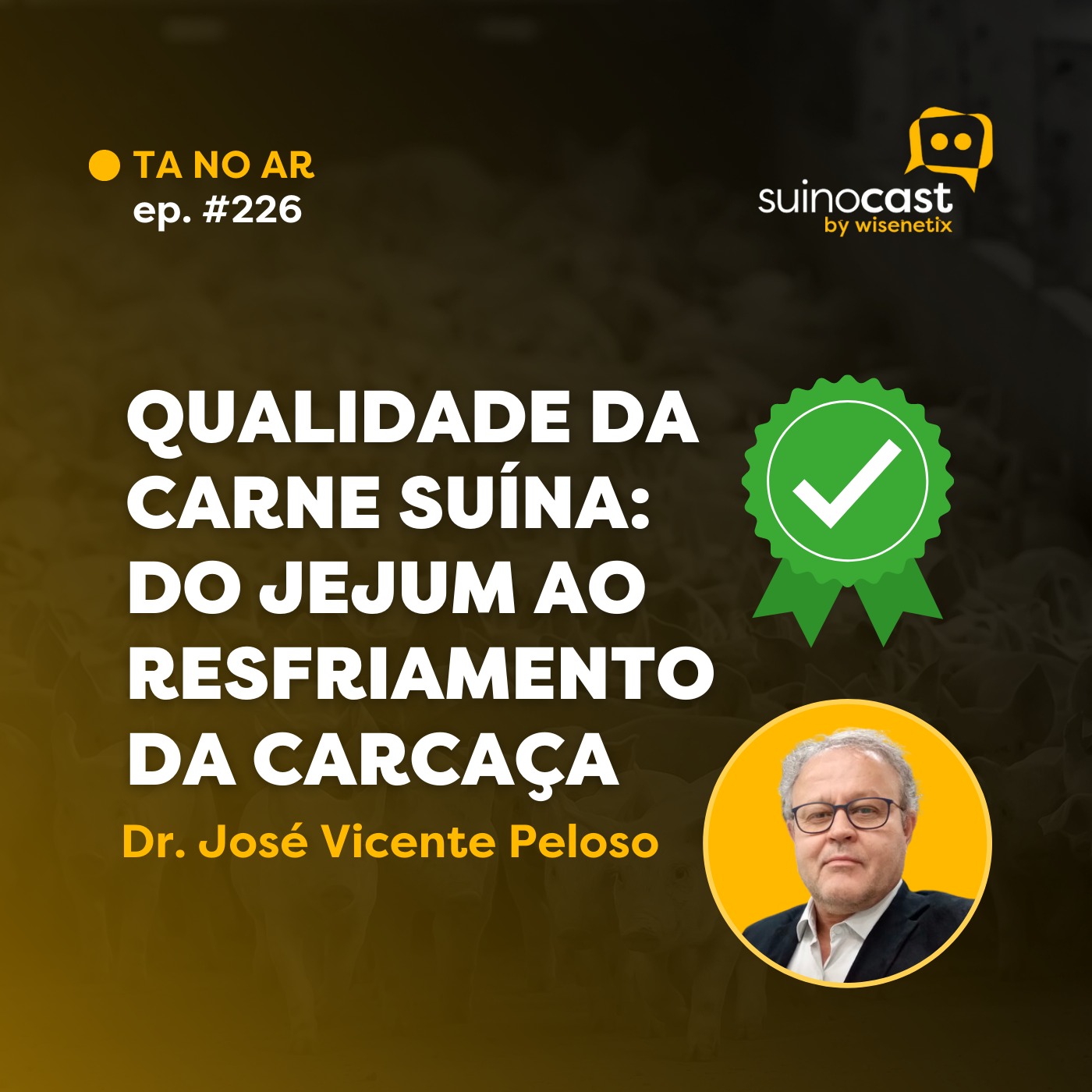 #226 - Qualidade da carne suína: do jejum ao resfriamento da carcaça - Dr. José Vicente Peloso