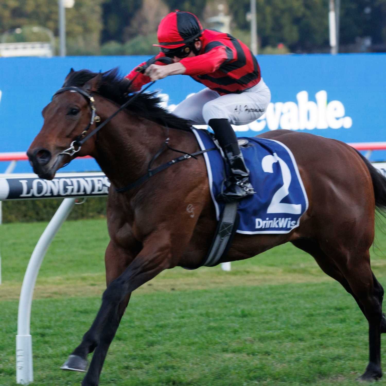 ⁣Rosebud Stakes Day Preview