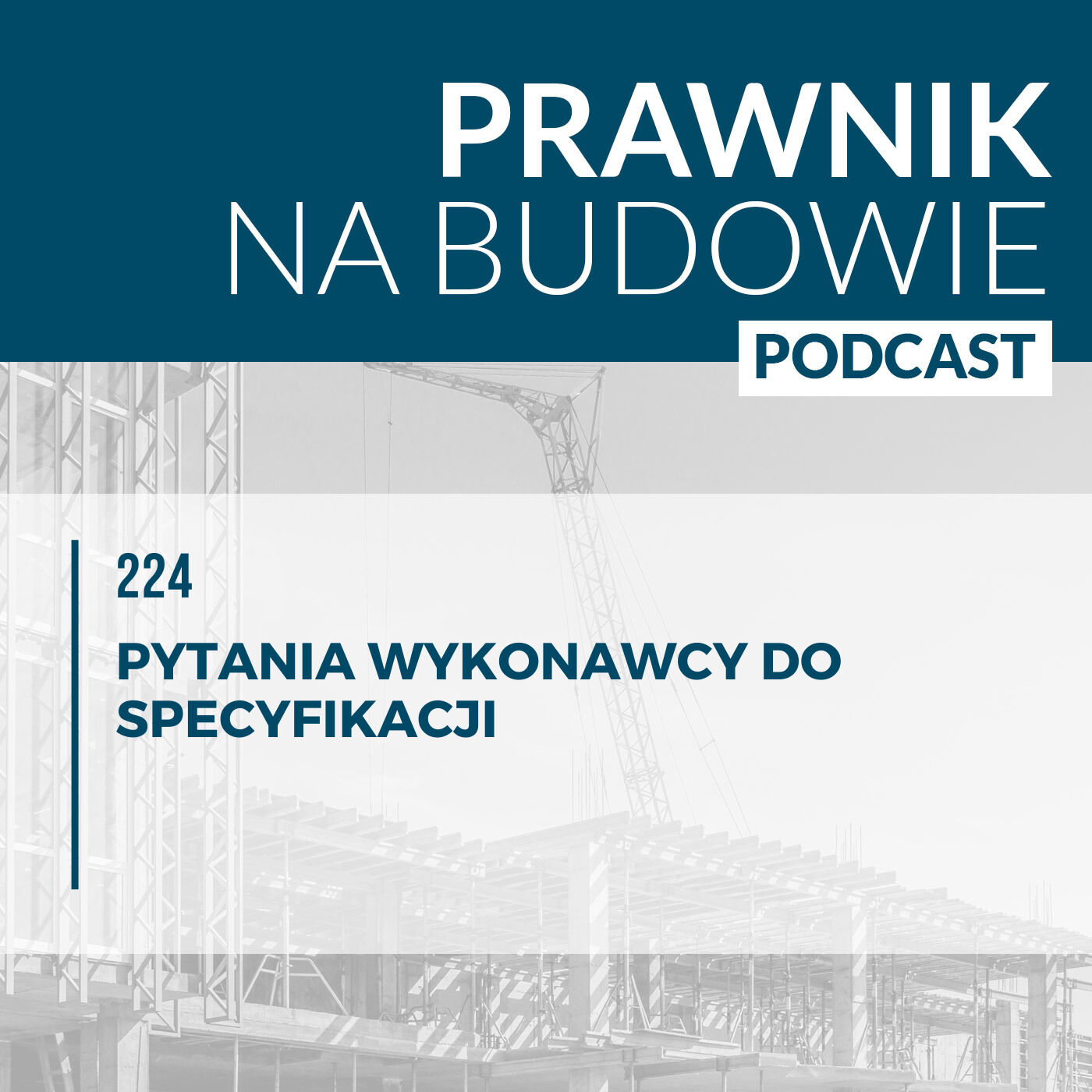 Pytania wykonawcy do specyfikacji #224