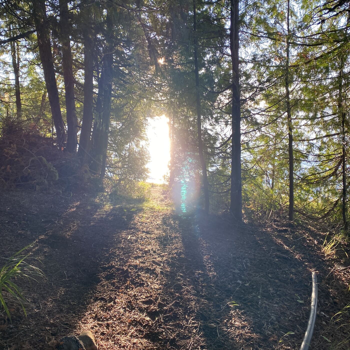 Where&rsquo;s the Opening?