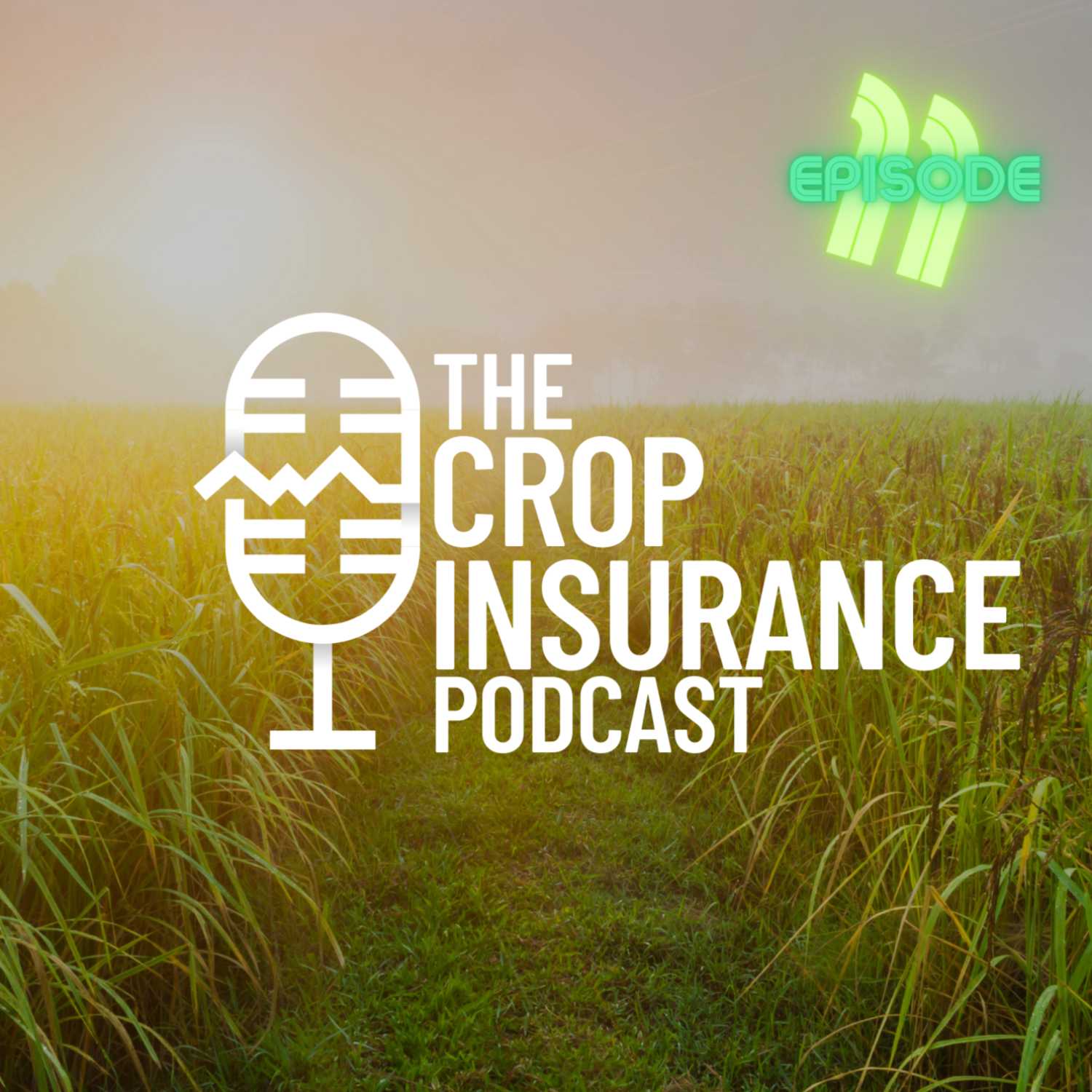 ⁣S01 E01 - Crop Insurance Basics | 11: SCO/ECO