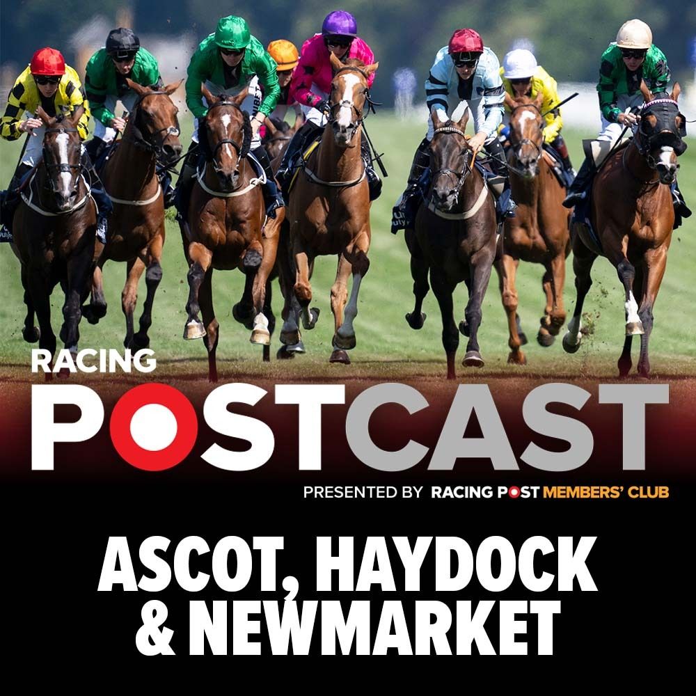 Ascot, Haydock & Newmarket Preview | Horse Racing Tips | Racing Postcast