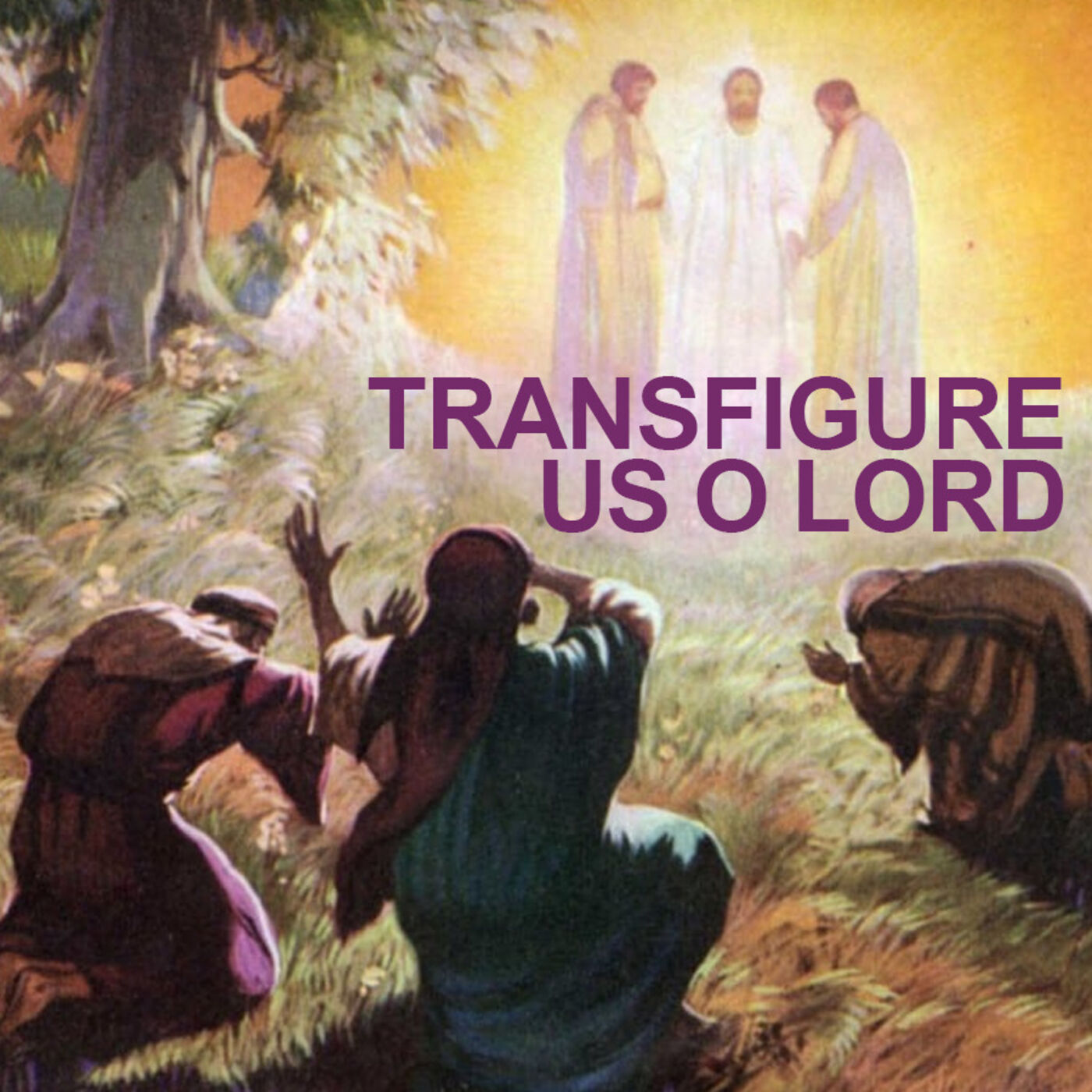 Season 3 Episode 35 - Transfigure us O Lord