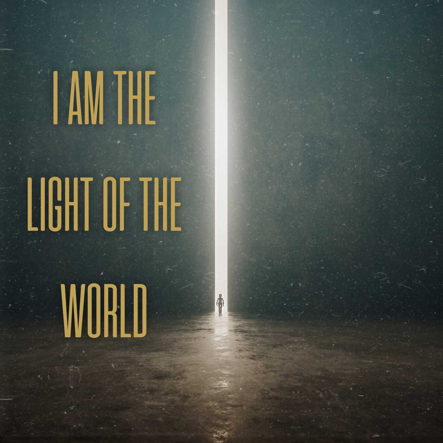 John 8:12 • I Am The Light of The World