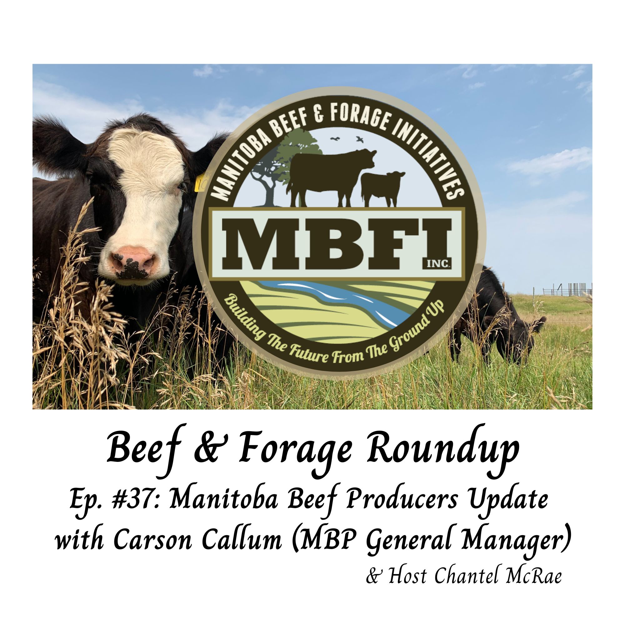 Manitoba Beef Producers Update with Carson Callum