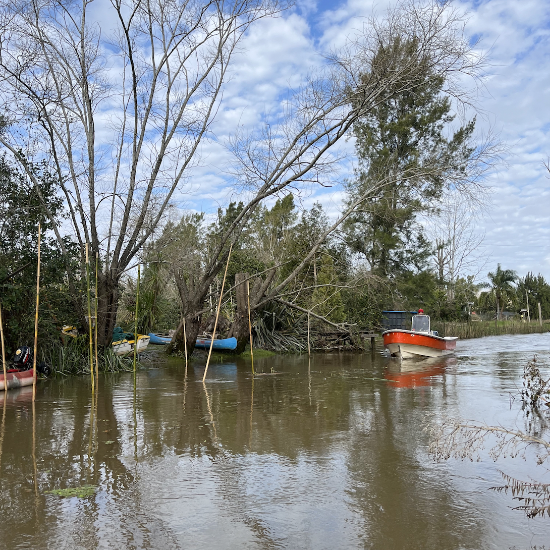 Delta del Tigre, Argentina on 4th August 2023 – by Eva Moeraert