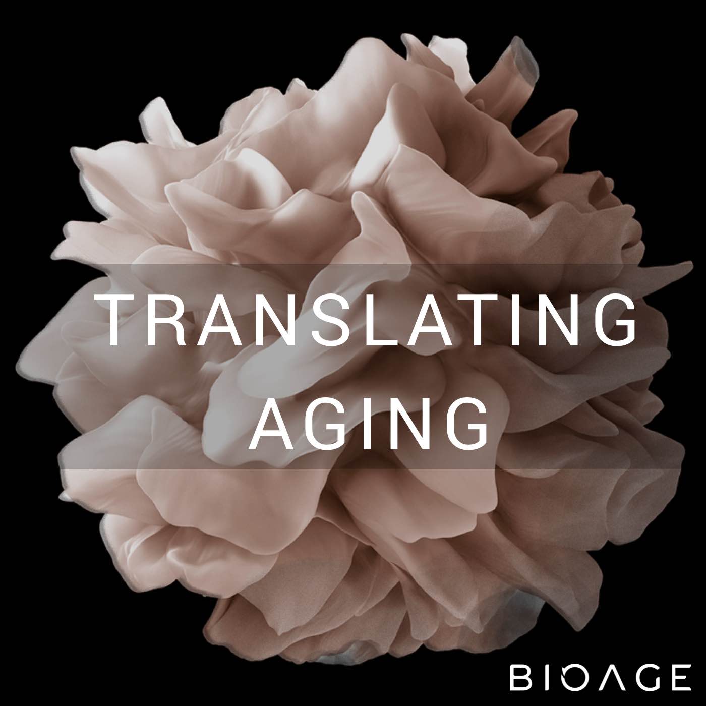 ⁣Reversing Skin Aging at the Cellular Level (Carolina Reis Oliveira and Alessandra Zonari, OneSkin)