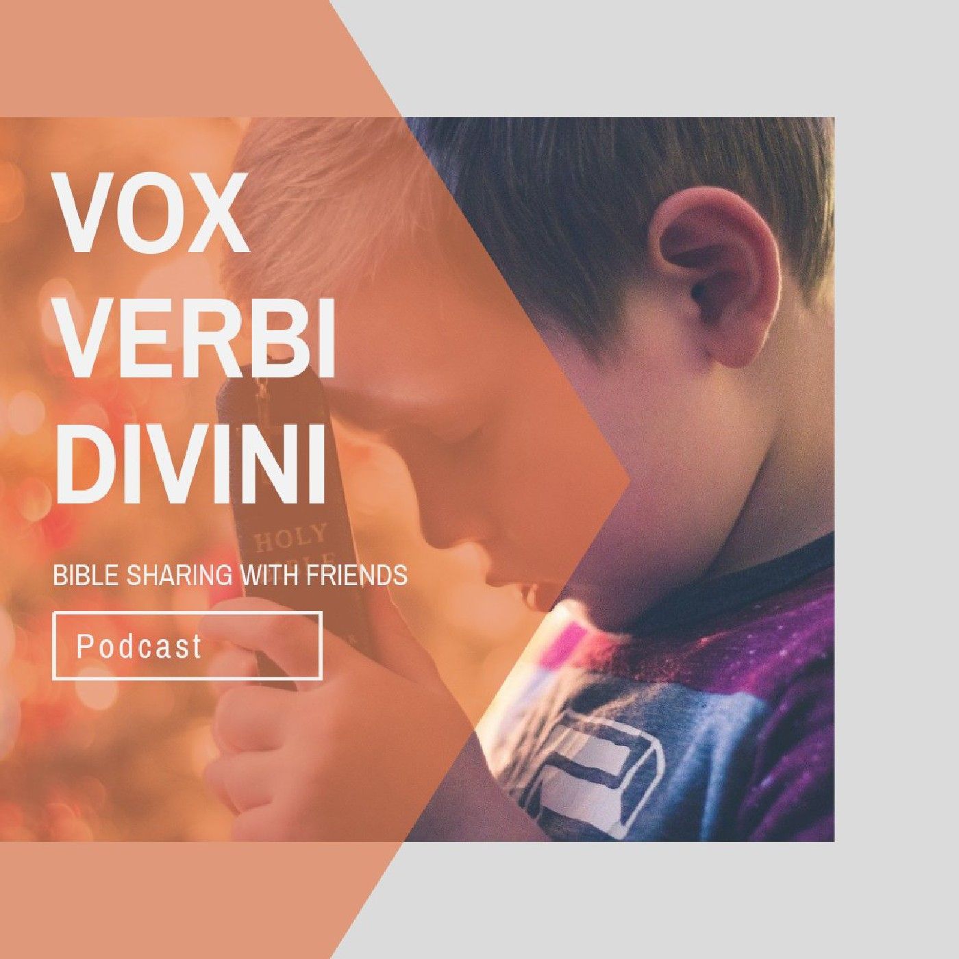 Vox Verbi Divini 