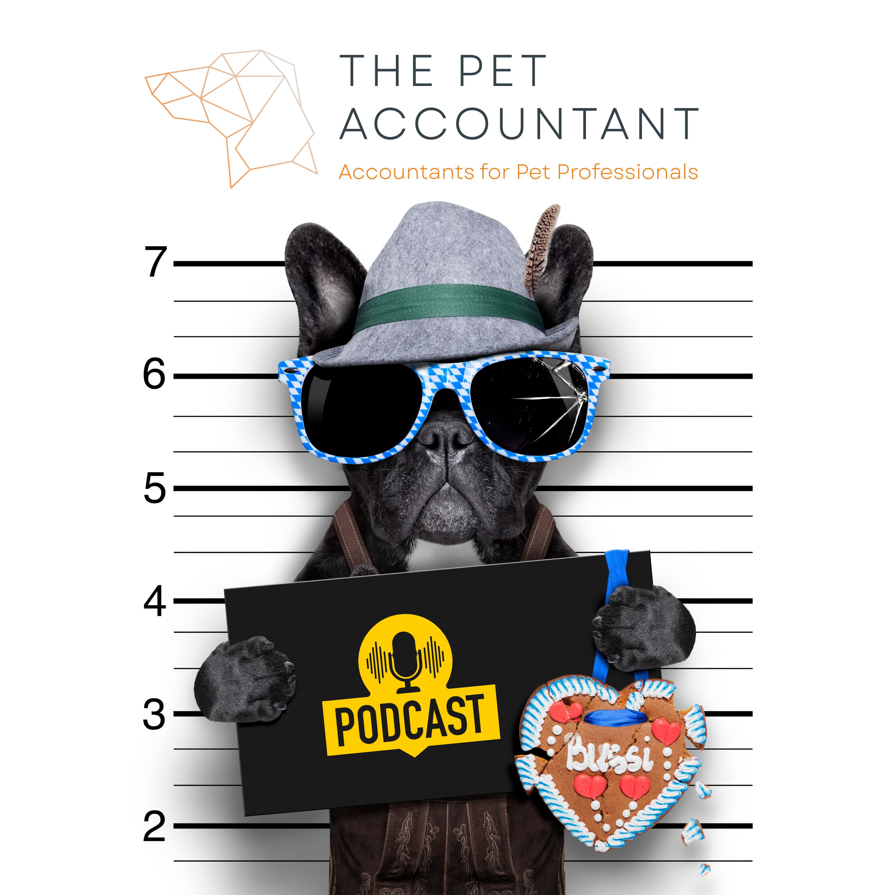 Pet Accountant Podcast 