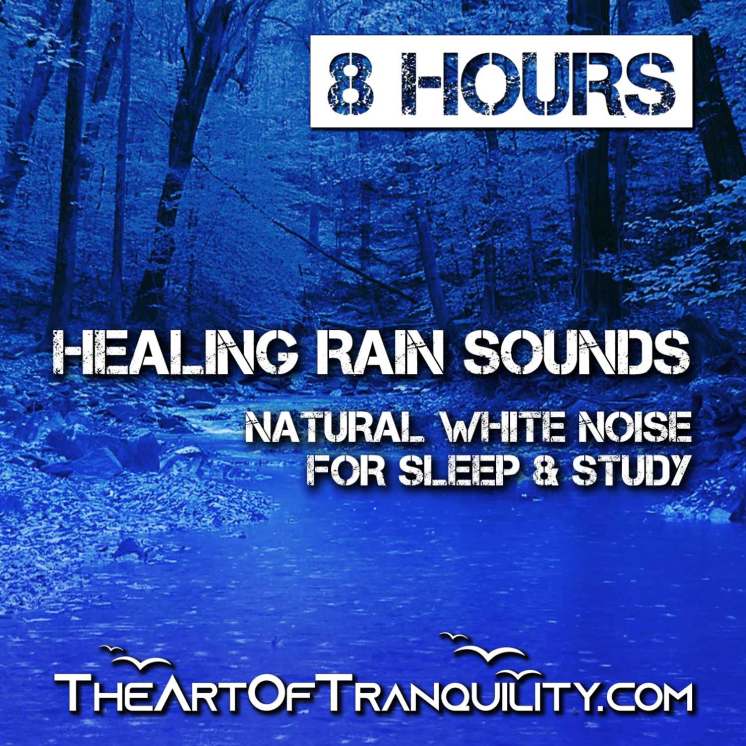 HEALING RAIN SOUNDS FOR DEEP SLEEP | Natural White Noise for Study & Sleep | 8 Hrs 